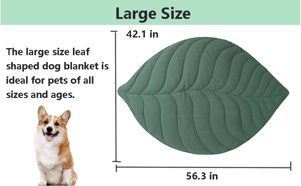 dog blanket