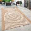 Indoor and Outdoor Rug Boho Abstract Line Pattern in Black Brown