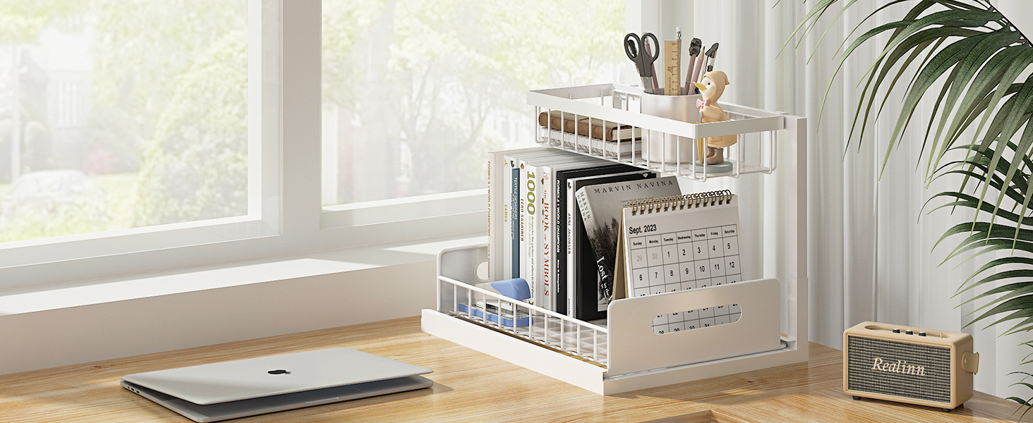 study organizer