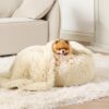 Waterproof Dog Blankets for Large Dogs - Cat Blanket for Bed Couch Protector Washable Long Faux Fur, Calming Soft Reversible Throw Furniture Protection for Puppy Pet, 60