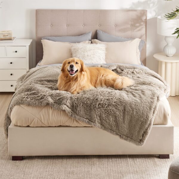 Waterproof Dog Blankets for Large Dogs - Cat Blanket for Bed Couch Protector Washable Long Faux Fur, Calming Soft Reversible Throw Furniture Protection for Puppy Pet, 60