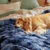 Waterproof Dog Blankets for Large Dogs - Cat Blanket for Bed Couch Protector Washable Long Faux Fur, Calming Soft Reversible Throw Furniture Protection for Puppy Pet, 60