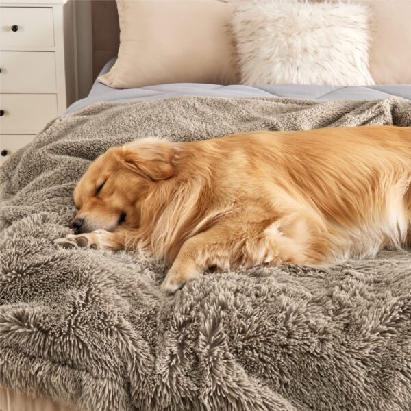 Waterproof Dog Blankets for Large Dogs - Cat Blanket for Bed Couch Protector Washable Long Faux Fur, Calming Soft Reversible Throw Furniture Protection for Puppy Pet, 60