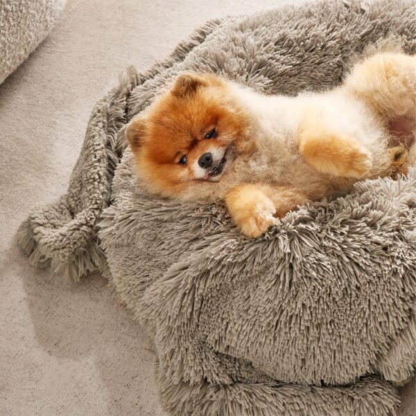 Waterproof Dog Blankets for Large Dogs - Cat Blanket for Bed Couch Protector Washable Long Faux Fur, Calming Soft Reversible Throw Furniture Protection for Puppy Pet, 60