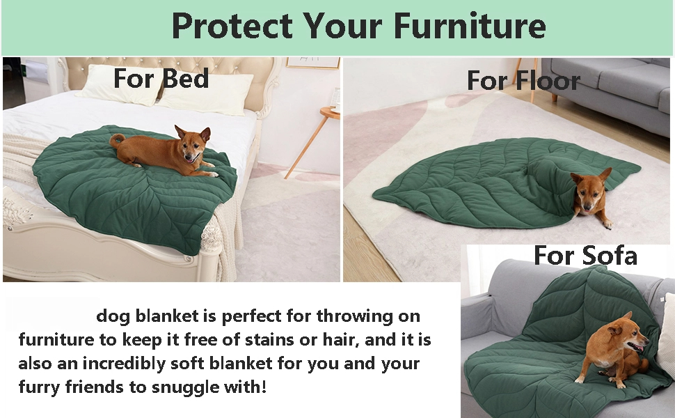 dog blanket