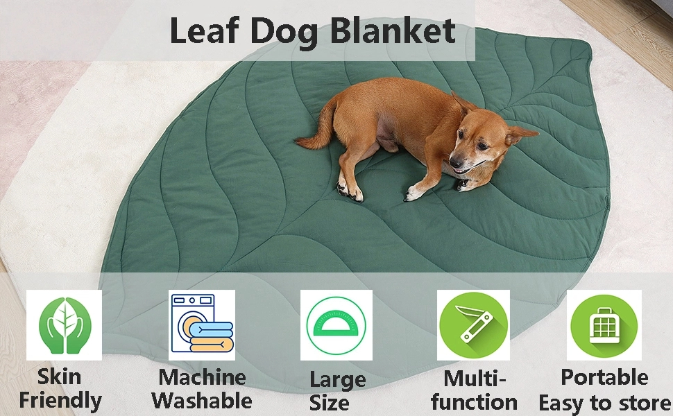 dog blanket