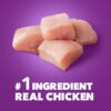Advanced Health Healthy Digestion With Real Chicken Dry Dog Food Adult, 13.5 Lb Bag