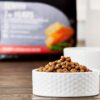 Pure Balance Pro+ Senior Salmon & Brown Rice Recipe Dry Dog Food, 16 lbs