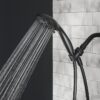 5-Setting Handheld Shower Head, Matte Black
