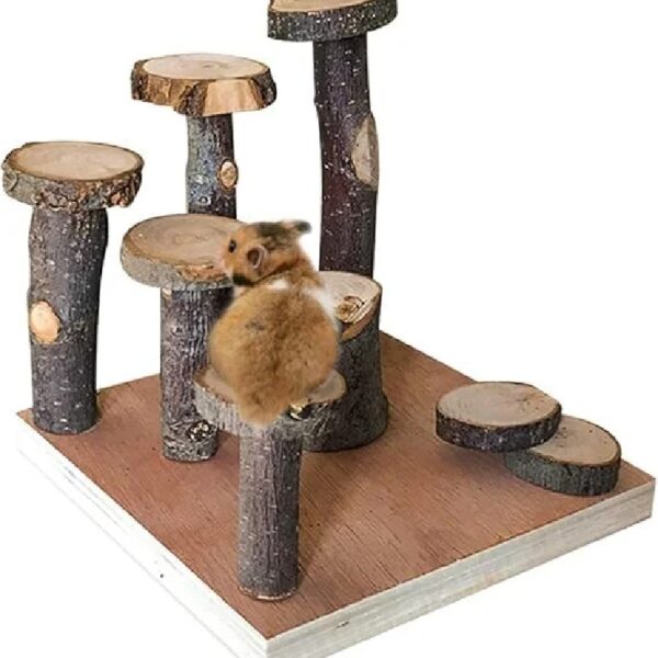 SS Organic Hamster Climbing Wooden Stand Platform, Pet Cage Playground Natural Wood Bridge ramp Toys for Dwarf Hamsters, Syrians Hamster, Gerbil, Mouse, Rat