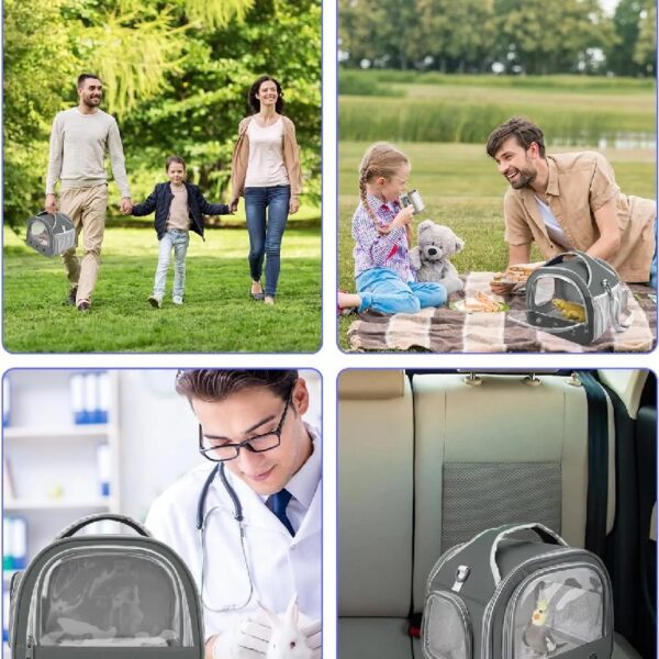 04781221b2b544f28805b329015ba11b Bearded Dragon Travel Carrier, Portable Guinea Pig Carrier Bag Tortoise Carrier Pouch for Bunny Hamster Chinchilla Hedgehog Lizard Bird Outgoing Reptile Travel Carrying Case - Grey