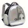 Transparent Pet Backpack Carrier - Lightweight PVC Ventilated Design for Small Animals (Hamsters, Guinea Pigs, Birds) - Secure Zipper & Comfort Straps