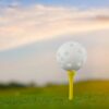 (4 pack) 15Pk White Hollow Practice Golf Balls