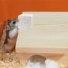 Tutuviw 10 Pack Hamster Chew Stones,1.7in Rabbit Teeth Molar Grinding Stones,Pet Chew Stones,Bunny Lava Blocks,Teeth Grinding Lava Calcium Block for Small Animal Chinchilla Guinea Pig Rabbit