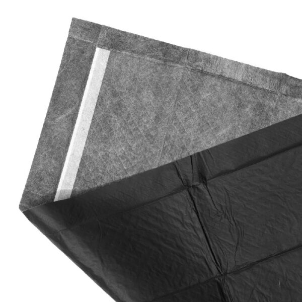 Activated Charcoal Leak-Resistant Training Pads for Dogs, 23in x 23in, 100 Count