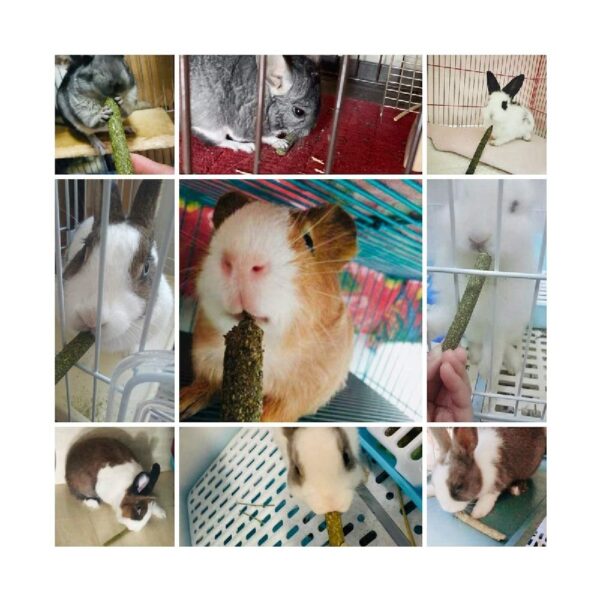 160 PCS Natural Mixed Grass Stick Chew Toys for Guinea Pig Rabbit Gerbil Parrot Bunny and Other Small Animals