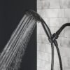 5-Setting Handheld Shower Head, Matte Black