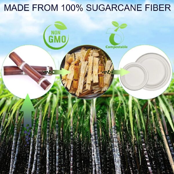 250Pcs Disposable Dinnerware Set, Compostable Sugarcane Cutlery Eco Friendly Tableware Includes 50 Biodegradable Paper Plates, Forks, Knives and Spoons for Camping, Picnic