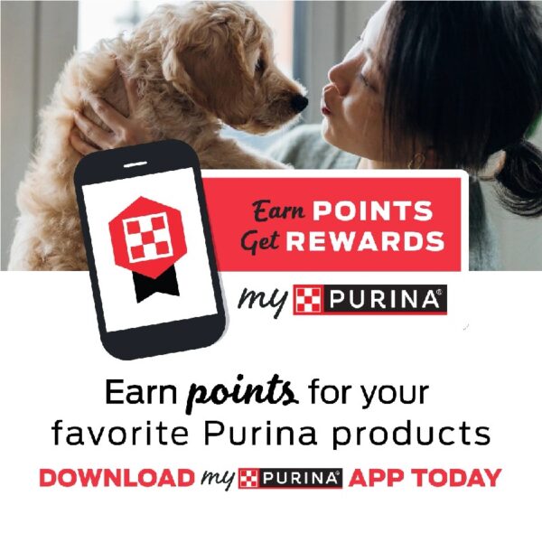 Purina  Dry Dog Food, Tender & Crunchy High Protein Real Beef & Rice, 30 lb Bag