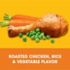 Complete Nutrition Adult Dry Dog Food Roasted Chicken, Rice & Vegetable Flavor Dog Kibble, 44 Lb