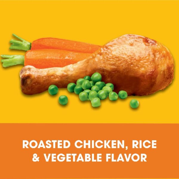 Complete Nutrition Adult Dry Dog Food Roasted Chicken, Rice & Vegetable Flavor Dog Kibble, 44 Lb