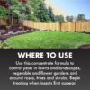 (2 pack)  Insect Killer for Lawns, Ready-to-Spray Concentrate, 32 Ounces