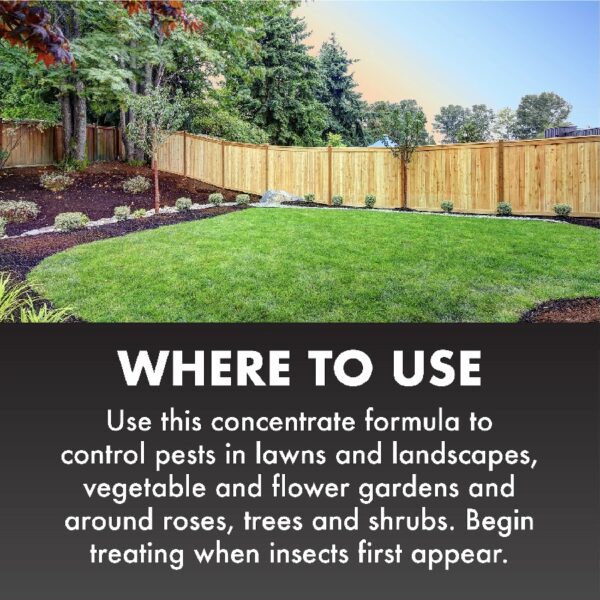 (2 pack)  Insect Killer for Lawns, Ready-to-Spray Concentrate, 32 Ounces