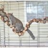 Exotic Nutrition Woodland Accessory Bundle - Natural Wood Chewing Cage Toys - Chinchilla, Hamster, Squirrel, Gerbil, & More Small Pets