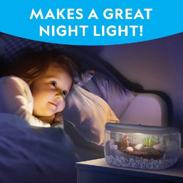 NATIONAL GEOGRAPHIC Light Up Dinosaur Terrarium Kit for Kids with Real Plants, Fossils & More, for Unisex Children (Age Group: 6 to 12 years)