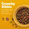 Complete Nutrition Adult Dry Dog Food Roasted Chicken, Rice & Vegetable Flavor Dog Kibble, 44 Lb