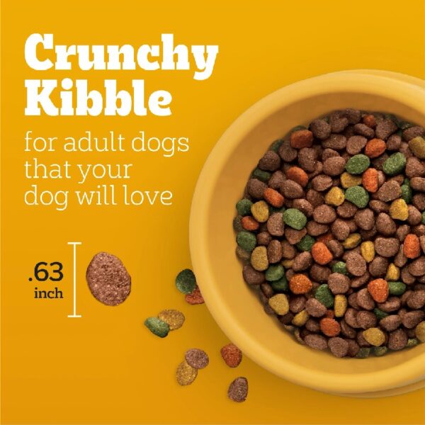 Complete Nutrition Adult Dry Dog Food Roasted Chicken, Rice & Vegetable Flavor Dog Kibble, 44 Lb