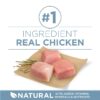 Plus Dry Dog Food Joint & Mobility Health, High Protein Chicken & Rice, 16.5 lb Bag