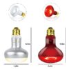 ECOSUB Dual Reptile Light Fixture Combo Pack, With 100W UVA Daylight and Infrared Heating Lamp