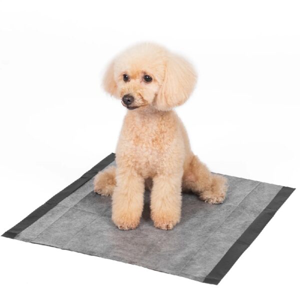 Activated Charcoal Leak-Resistant Training Pads for Dogs, 23in x 23in, 100 Count
