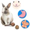 14Pcs Rabbit Toy for Teeth, Bunny Toys, Rabbit Chew Toys, Bunny Chew Toys for Teeth, Loofah Wood Sticks Ball Toys for Rabbits, Guinea Pig, Chinchilla