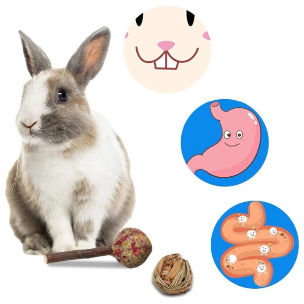 14Pcs Rabbit Toy for Teeth, Bunny Toys, Rabbit Chew Toys, Bunny Chew Toys for Teeth, Loofah Wood Sticks Ball Toys for Rabbits, Guinea Pig, Chinchilla