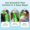 Ant Killer & Bug Spray Concentrate - Indoor Cockroach and Roach Killer, Spider Spray for Home, Fly and Insect Defense, Essential Oils, Plant-Powered, Eco-Friendly Pest Control - 3.7 Oz