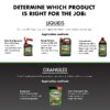 (2 pack)  Insect Killer for Lawns, Ready-to-Spray Concentrate, 32 Ounces