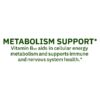 Extra Strength Vitamin B12 Supplement Fast Dissolve Tablets for Metabolism Support, Cherry, 5000 mcg, 300 Count