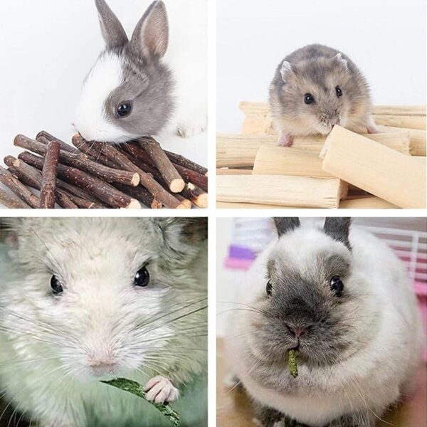 Masteelf 6 Boxes Rabbit Chew Sticks Bunny Chew Toys Hamster Teeth Grinding Toys