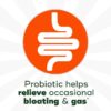 Daily Probiotic Supplement, Probiotics Supplement, 42 Capsules