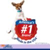 Hartz  Lavender Scent Odor-Eliminating Dog Pads, Regular Size, 21 in x 21 in, 50ct