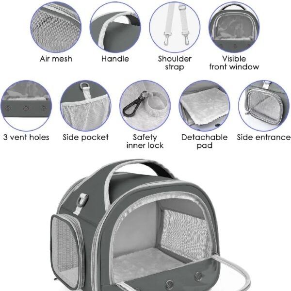 301acaaec41e4ad2bbb0b329015ba06b Bearded Dragon Travel Carrier, Portable Guinea Pig Carrier Bag Tortoise Carrier Pouch for Bunny Hamster Chinchilla Hedgehog Lizard Bird Outgoing Reptile Travel Carrying Case - Grey