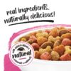 Purina  Originals with Natural Salmon Natural Dry Dog Food Formula with Added Vitamins, Minerals and Nutrients, 14 lb Bag