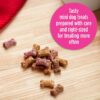 Milk Bone Soft and Chewy Dog Treats, Beef & Filet Mignon Recipe With Chuck Roast, 25oz Container