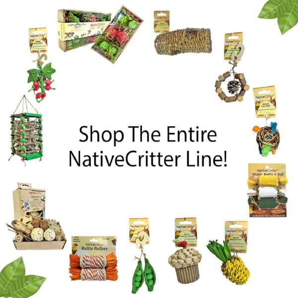 Exotic Nutrition Woodland Accessory Bundle - Natural Wood Chewing Cage Toys - Chinchilla, Hamster, Squirrel, Gerbil, & More Small Pets