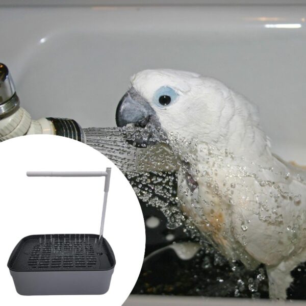 Dualoai Automatic Bird Bath Tub Parakeet Bath for Lovebird Medium Birds African Grey L