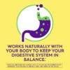 Ultimate Strength Probiotic Supplements, Helps Digestive and Gut Health, for Men and Women, 30 Count