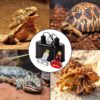 ECOSUB Dual Reptile Light Fixture Combo Pack, With 100W UVA Daylight and Infrared Heating Lamp