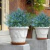 RECUTMS 20 Bundles Outdoor Artificial Plant UV Resistant Fake Plants, Faux Plastic Greenery for Indoor Outside Hanging Plants Garden Porch Window(White)